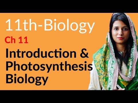 FSc Biology Book 1 Chapter 11 Bioenergetics