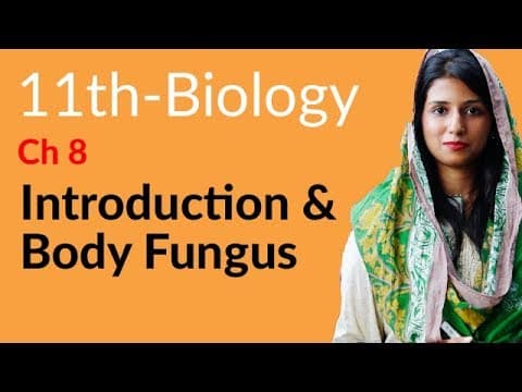 11th Class Biology Chapter 8 - 1st Year Biology Chapter 8 Fungis - FSc Part 1 Biology Chapter 8