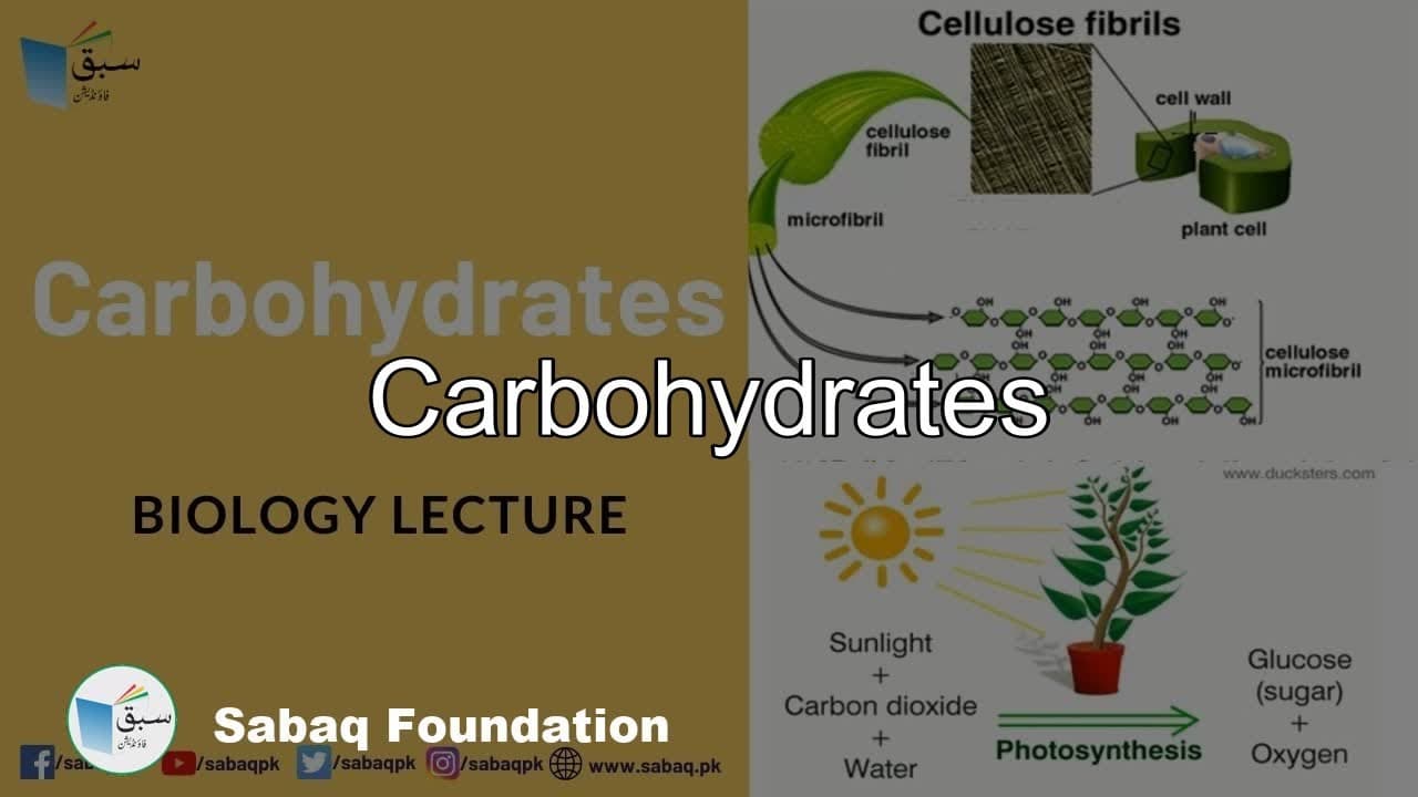 Class 10 Chapter: Biochemistry